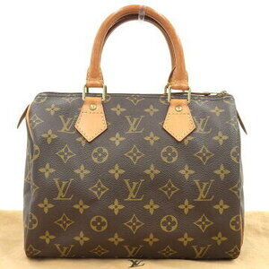 Louis Vuitton Monogram Speedy Boston Bag Pouch